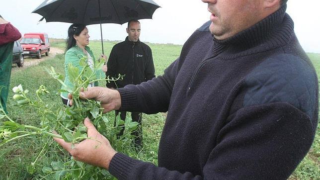 Rudi pide a Montoro que baje el IRPF a los agricultores aragoneses