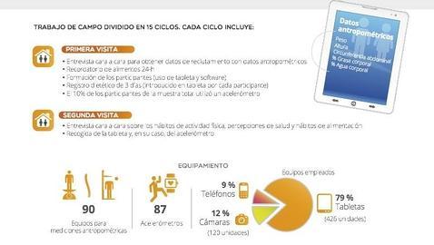 Un estudio reúne todos los datos para diseñar políticas alimentarias más precisas