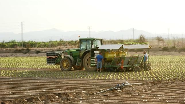 Murcia aportó el 4,3 por ciento del total de exportaciones del país en 2014