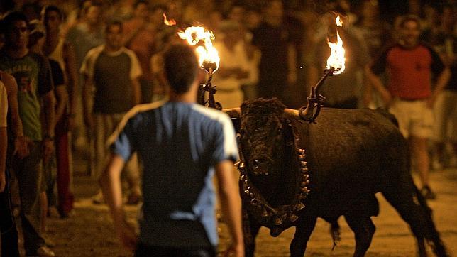 Los animalistas piden la prohibición del toro embolado y los «bous a la mar»