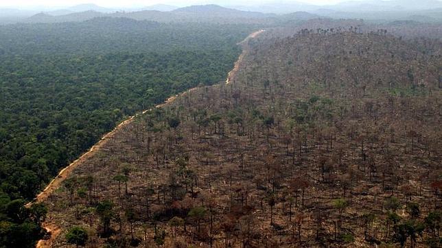 La Policía brasileña detiene al mayor deforestador de la Amazonía