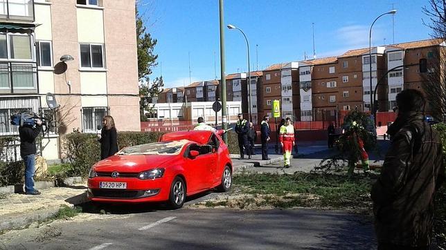 Estado en el que ha quedado el vehículo tras la caída del pino en la calle Aldeanueva de la Vera, en Latina