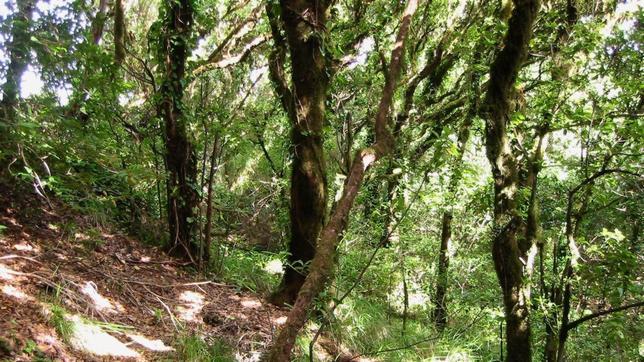 La CE denuncia a España por inclumplir las directivas sobre la Red Natura 2000