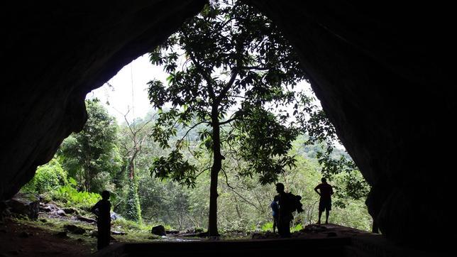 Los humanos ocuparon las selvas tropicales hace 20.000 años