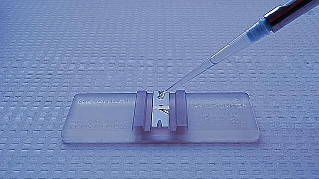 Un hemocitómetro o cámara de Neubauer, usado para contar espermatozoides y otras células