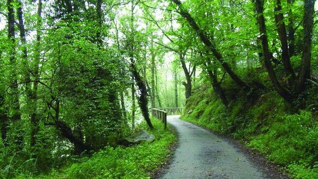 Camino Natural junto a la ribera del río Nalón