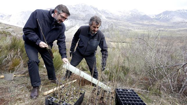 José Ángel Arranz y Guillermo Palomero durante la repoblación de árboles en Rabanal de Luna
