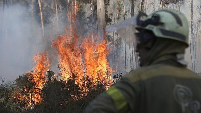 Vuelven los incendiarios