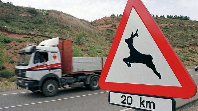 Desestiman la primera demanda por daños en un accidente con animal de caza tras el cambio de ley