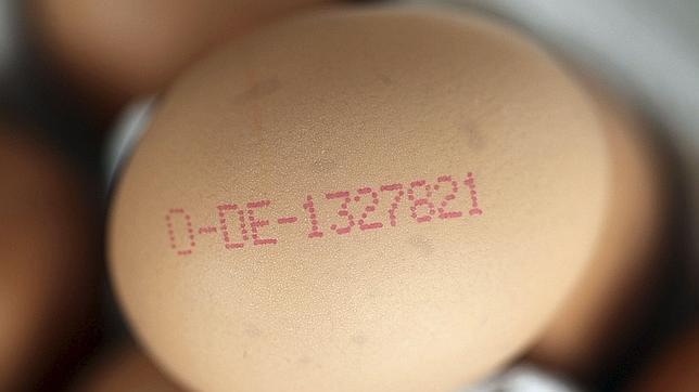 El código impreso en un huevo