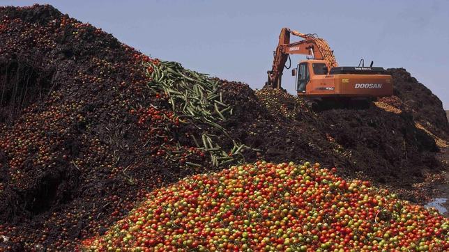 La FAO recuerda que los responsables de las políticas pueden mejorar la capacidad de productores, comerciantes y consumidores para frenar el desperdicio de alimentos