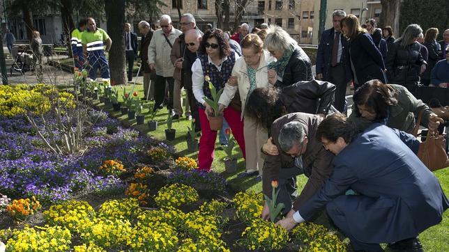 Tulipanes por el parkinson