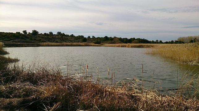 Las lagunas de Lastras y el río Ucero, claves en la lucha contra el cambio climático