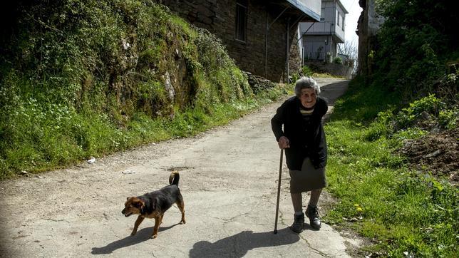 Investigan una decena de casos de perros encadenados denunciados en Galicia