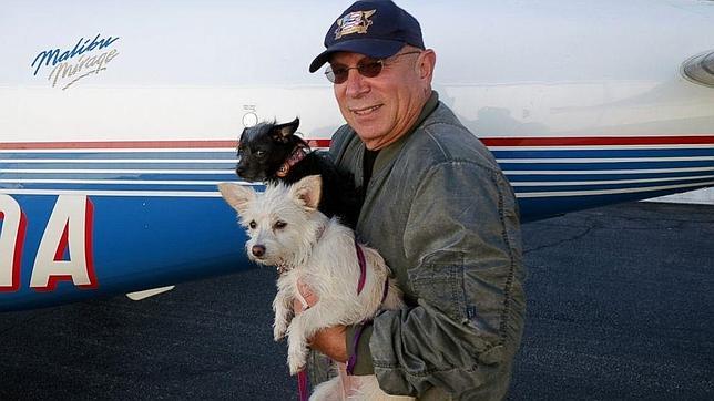Los pilotos que vuelan sin cobrar para salvar a perros de ser sacrificados