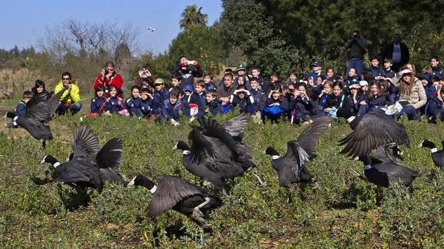 Nuestros relajantes fines de semana en el campo estresan peligrosamente a las aves