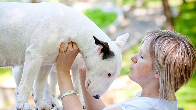 Mirar a los ojos de tu perro estrecha la relación entre ambos