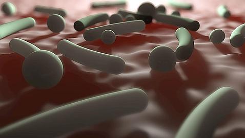 Nuestro organismo está lleno de bacterias