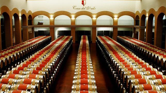 Sala de barricas de Bodegas y Viñedos Casa del Valle