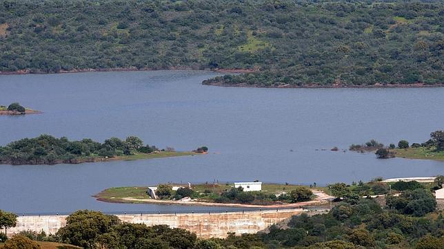 Un año parco en lluvias en Sevilla, pero aún sin riesgo de sequía