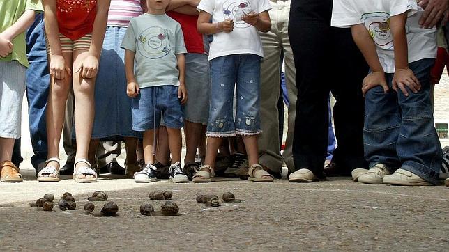 Tiene el oficio más raro de España: alimenta a mariposas y doma caracoles