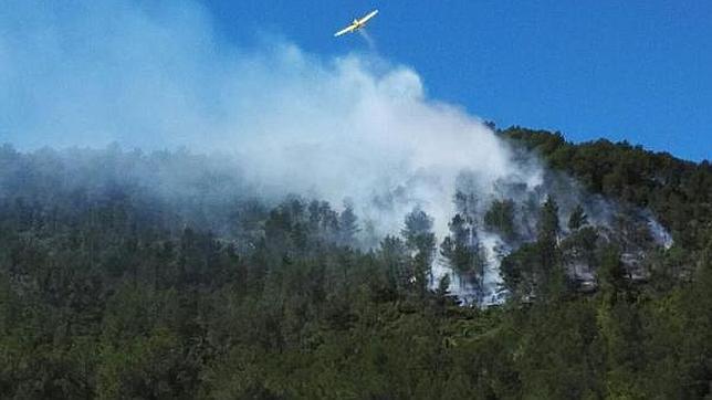 Imagen del incendio declarado en Artana