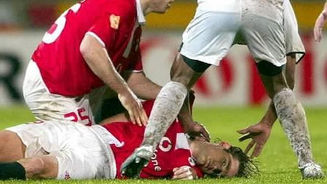 Feher, inmóvil sobre la hierba