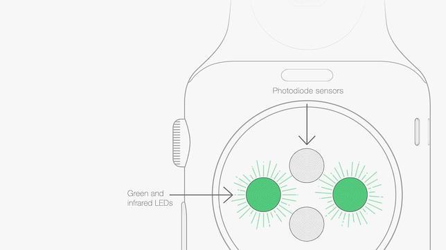 Detalle de los sensores instalados en el Apple Watch