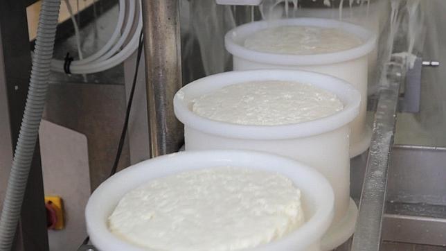 Cómo se elabora el queso artesano