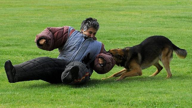 Bruselas deja sin turno de guardia a la Unidad Canina de Alicante