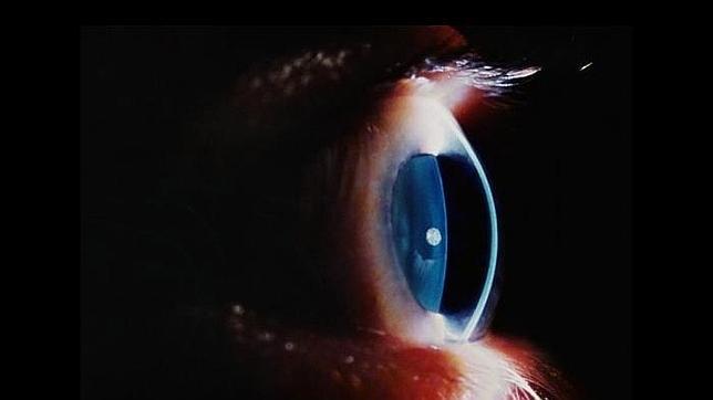 Un paseo por el interior del cuerpo humano en 10 imágenes