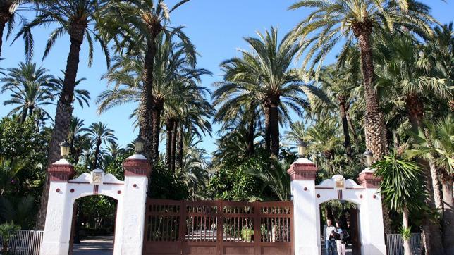 Una palmera llamada Fran