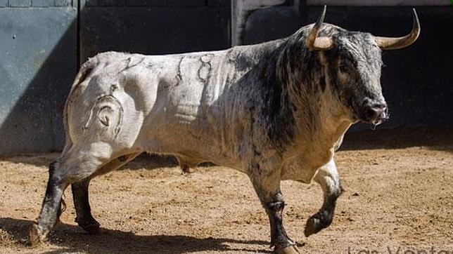 Directo: ¡qué gran toro el ensabanado segundo!