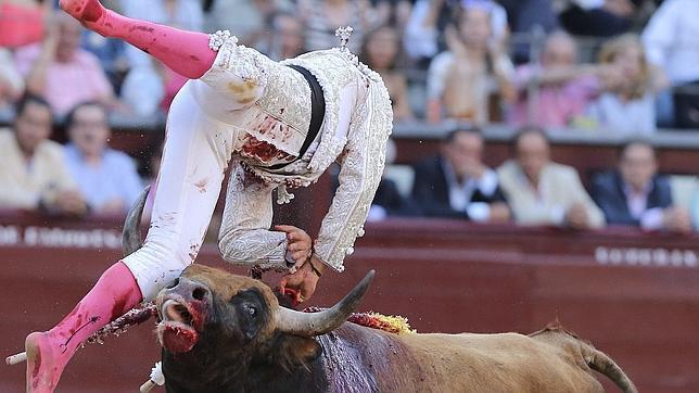 San Isidro: valiente Caballero, nobles parralejos