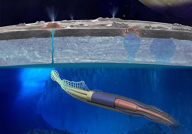 La NASA estudia fabricar un calamar gigante robótico para buscar vida en una luna de Júpiter