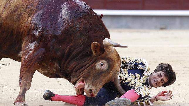 San Isidro: la lidia imprescindible