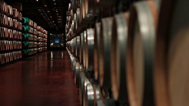 Descubren cómo reducir la cantidad excesiva de alcohol que el calentamiento global produce en el vino