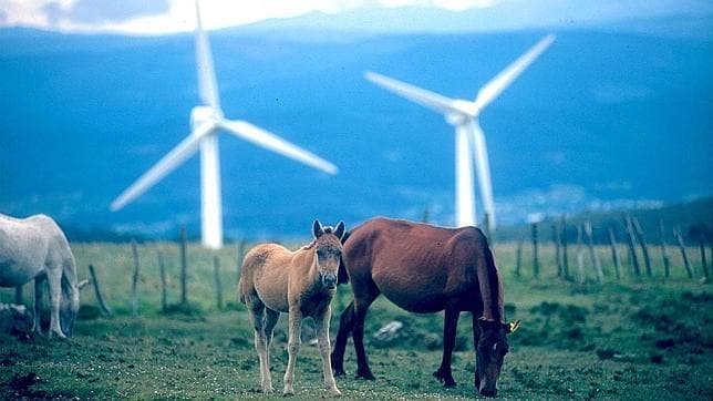 España es el cuarto país del mundo por potencia eólica instalada