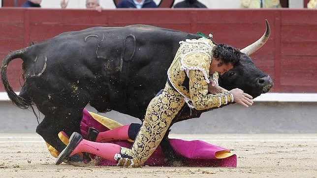 David Mora, colgado el pitón del toro el 20 de mayo de 2014