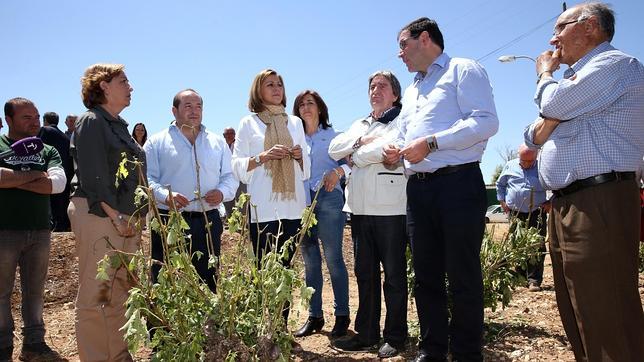 Cospedal anuncia un paquete de medidas para los agricultores afectados por la tormenta de granizo