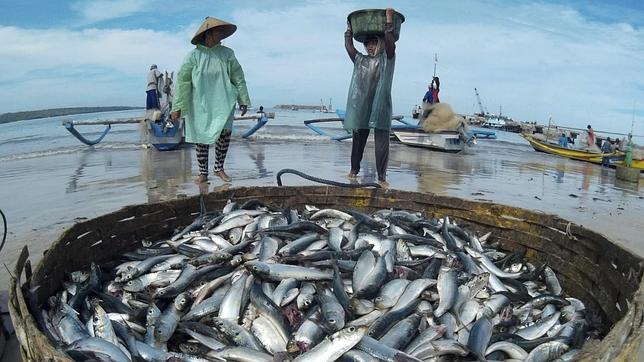 La FAO fomentará la igualdad de género en el sector pesquero