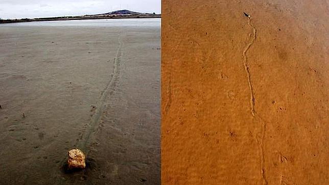 Microbios y tormentas, la posible explicación de las «piedras errantes»