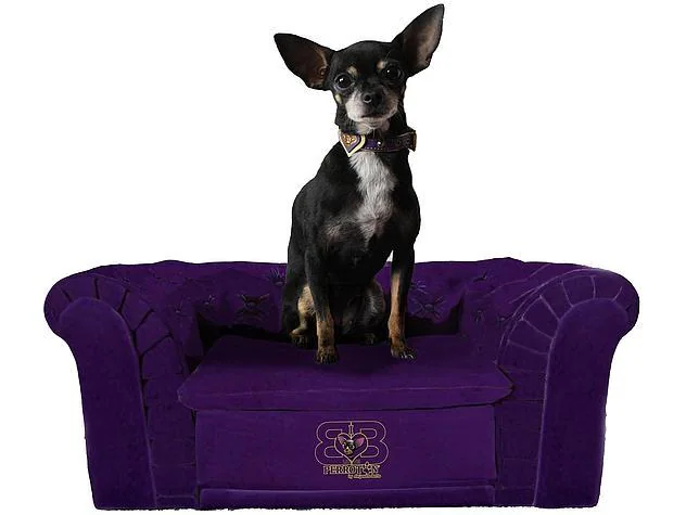 Entre las novedades de «100x100 mascotas» está un sofá tipo Chester para perros