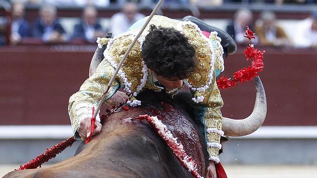 Directo: Espada mata seis novillos por percance de sus compañeros