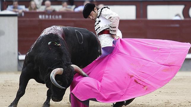 Un ibán muy «Provechoso» en San Isidro