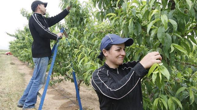 La campaña agrícola dispara el empleo: 12.000 nuevos empleos en mayo