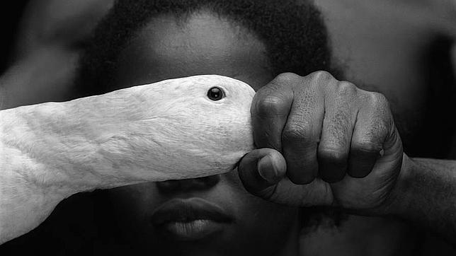 «Odé» (1989), de Mario Cravo Neto