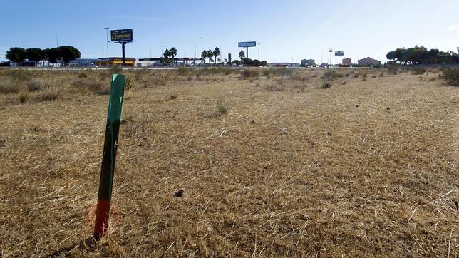 Ecologistas piden que no se apruebe el proyecto de la ATE de Alicante Avanza