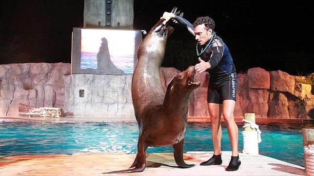 Polémica por el uso de animales de Faunia en MasterChef