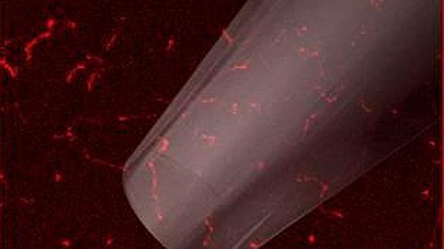 Descubren los mecanismos moleculares del ojo seco